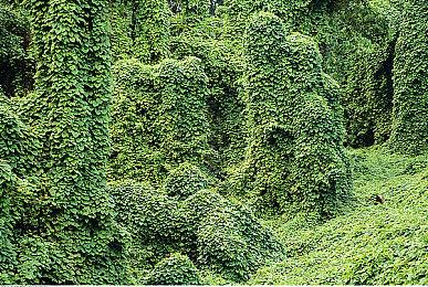 《女神异闻录3：Reload》宣布还将登陆PS和Steam